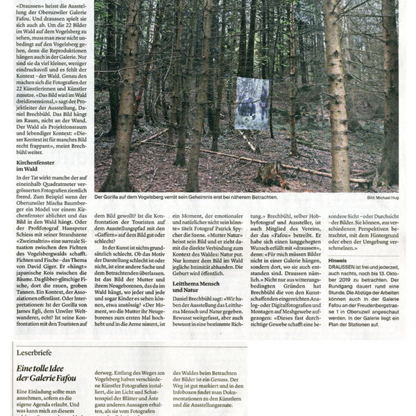 Wiler Zeitung / Der Gorilla auf dem Vogelsberg